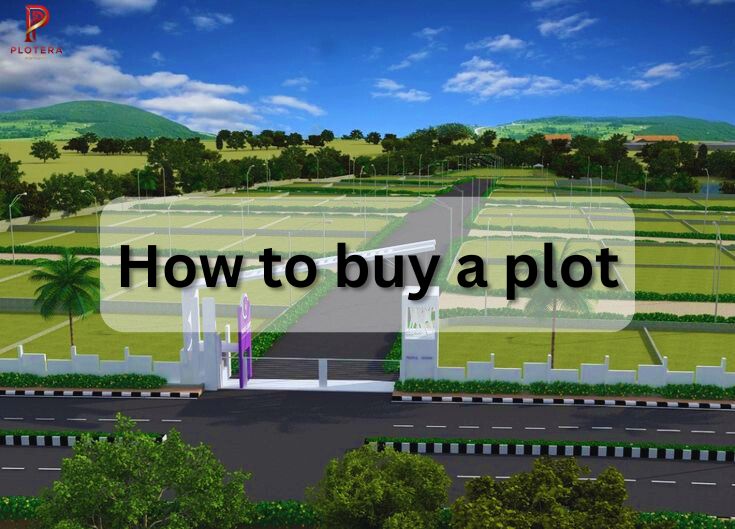 You are currently viewing How to Buy a Plot in India | Step-by-Step Plot Guidance