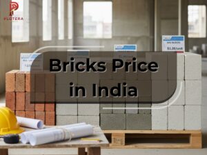 Read more about the article Bricks Price in India